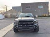 Used 2018 Ford F150 Raptor w/ Equipment Group 802A Luxury image 2