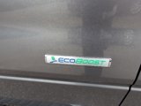 Used 2014 Ford F150 XLT w/ Equipment Group 302A Luxury image 6