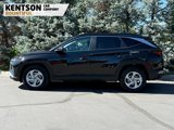 Used 2024 Hyundai Tucson SEL image 3