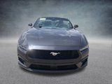 Used 2024 Ford Mustang Convertible image 2