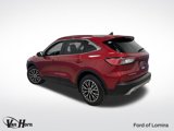 Used 2022 Ford Escape Titanium w/ Titanium Premium Package image 3