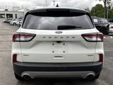 Used 2020 Ford Escape SEL image 5