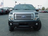 Used 2014 Ford F150 Platinum image 3