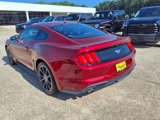 Used 2019 Ford Mustang Coupe w/ Equipment Group 101A image 3