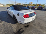 Used 2018 Ford Mustang Premium w/ Equipment Group 201A image 6