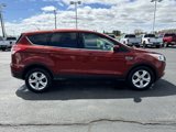 Used 2014 Ford Escape SE image 6