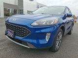 Certified 2022 Ford Escape SEL image 4