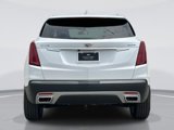 New 2024 Cadillac XT5 Premium Luxury image 4