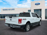 Used 2016 Ford F150 XLT w/ Equipment Group 302A Luxury image 3