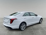 New 2025 Cadillac CT4 Premium Luxury image 5