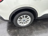 Used 2022 Ford Escape SE w/ Convenience Package image 4