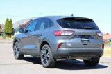 Used 2022 Ford Escape SE w/ SE Sport Appearance Package image 4