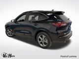 Used 2024 Ford Escape ST-Line w/ Tech Pack #1 image 3