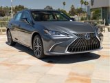 New 2025 Lexus ES 300h w/ Premium Package image 3