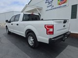 Used 2019 Ford F150 XL w/ Equipment Group 101A Mid image 6