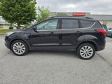 Used 2019 Ford Escape SEL image 6