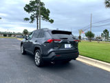 Used 2024 Toyota RAV4 XLE Premium image 6