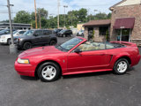 Used 2000 Ford Mustang Convertible image 2