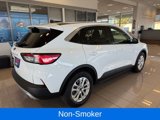 Used 2021 Ford Escape SE image 4