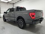 Used 2021 Ford F150 XLT w/ Equipment Group 302A High image 4
