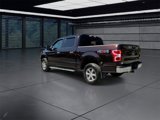 Used 2019 Ford F150 XLT w/ Equipment Group 302A Luxury image 6