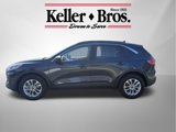 Used 2022 Ford Escape SE w/ Convenience Package image 4