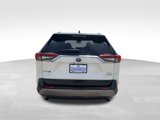 Used 2019 Toyota RAV4 XSE image 5