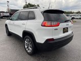 Used 2019 Jeep Cherokee Latitude Plus image 5