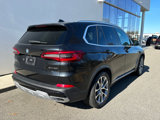 Used 2019 BMW X5 xDrive40i w/ Convenience Package image 4