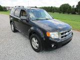 Used 2011 Ford Escape XLT image 2