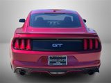 Used 2017 Ford Mustang GT Premium w/ Equipment Group 401A image 4