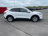 Used 2021 Ford Escape SE w/ Convenience Package image 4