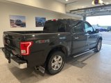 Used 2015 Ford F150 XLT w/ Equipment Group 301A Mid image 5