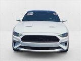 Used 2019 Ford Mustang Coupe w/ Equipment Group 101A image 2