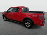Used 2012 Ford F150 FX4 image 2