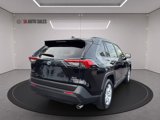 Used 2019 Toyota RAV4 XLE image 5