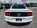 Certified 2022 Ford Mustang Coupe w/ Equipment Group 101A image 4