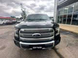 Used 2015 Ford F150 Platinum w/ Equipment Group 701A Luxury image 6