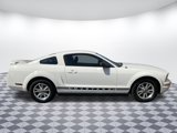 Used 2005 Ford Mustang Deluxe image 2