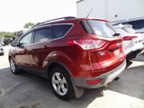 Used 2016 Ford Escape SE w/ SE Leather Comfort Package image 4