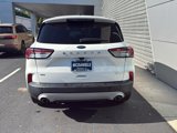 Used 2020 Ford Escape SE image 4