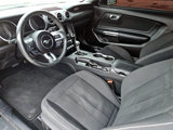 Used 2021 Ford Mustang Coupe w/ Equipment Group 101A image 5