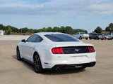 Used 2019 Ford Mustang Coupe w/ Equipment Group 101A image 4