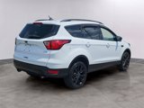 Used 2019 Ford Escape SE image 4