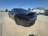 Used 2024 Ford Mustang GT Premium image 6