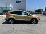 Used 2015 Ford Escape Titanium w/ Equipment Group 301A image 3