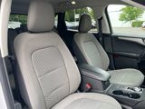 Used 2021 Ford Escape SE w/ Cold Weather Package image 4