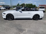 Used 2020 Ford Mustang Premium image 2