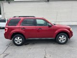 Used 2011 Ford Escape XLT w/ Cargo Pkg image 5
