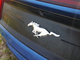 Used 2022 Ford Mustang Premium image 3